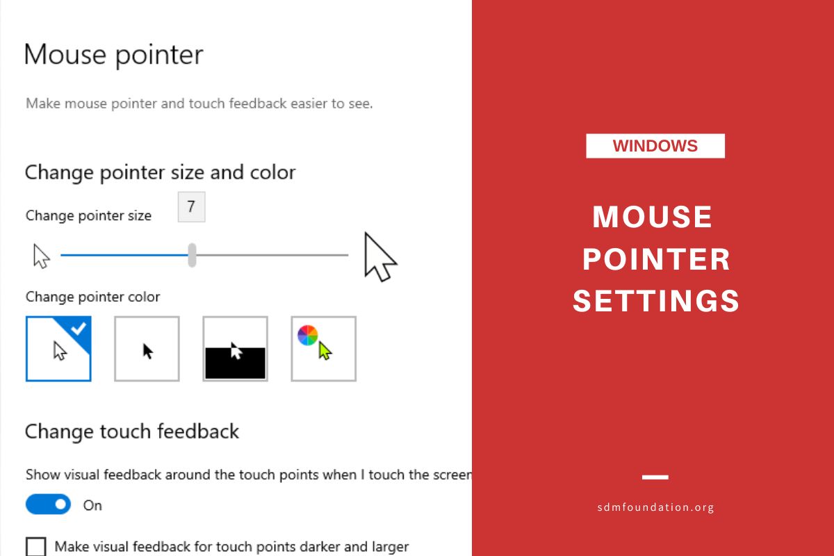 How to Change Your Mouse Pointer Settings - SDM Foundation